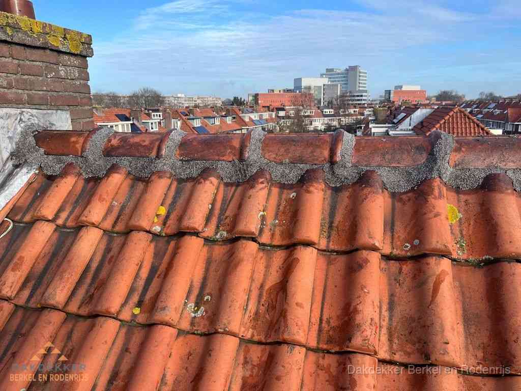Berkelenrodenrijs Daken Renoveren