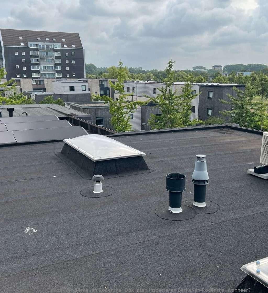 Dak Laten Inspecteren Berkel En Rodenrijs