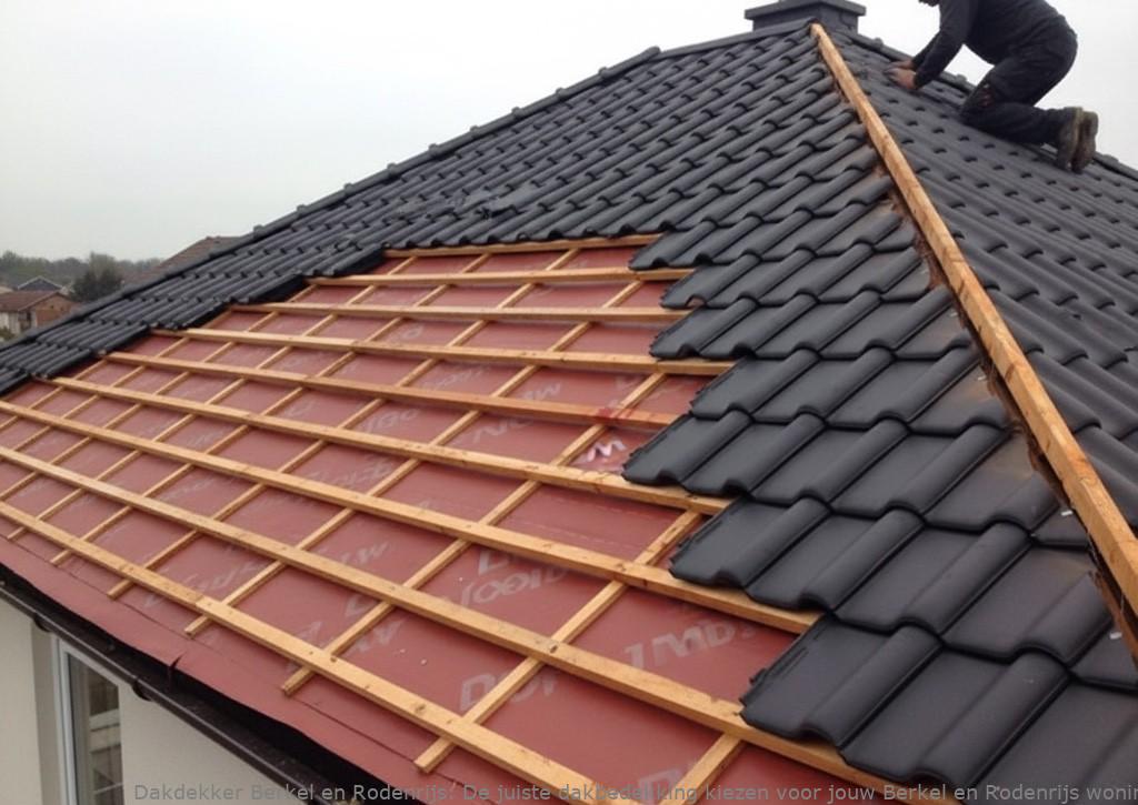 Dakbedekking Woning Berkel En Rodenrijs