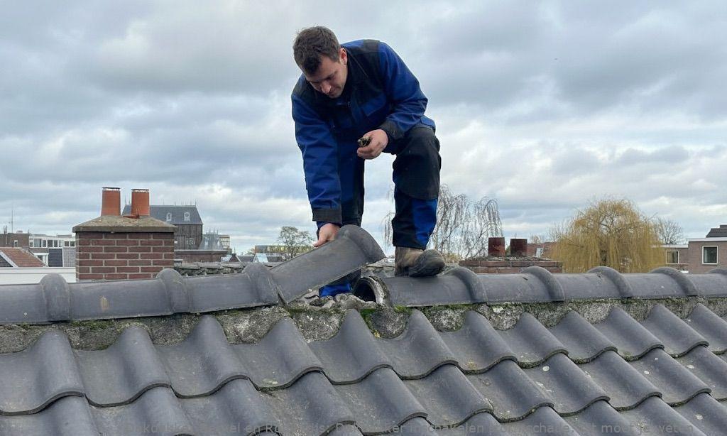 Dakdekker Inschakelen Stormschade Berkel En Rodenrijs
