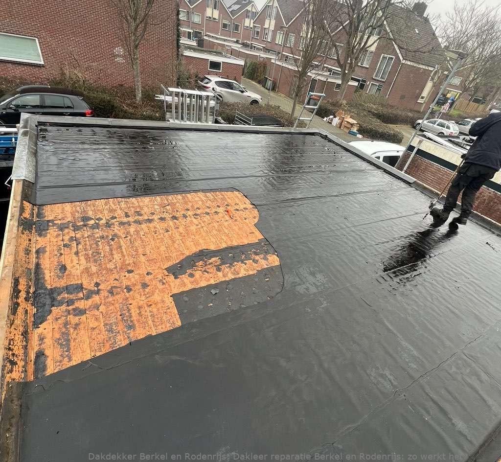 Dakleer Reparatie Berkel En Rodenrijs