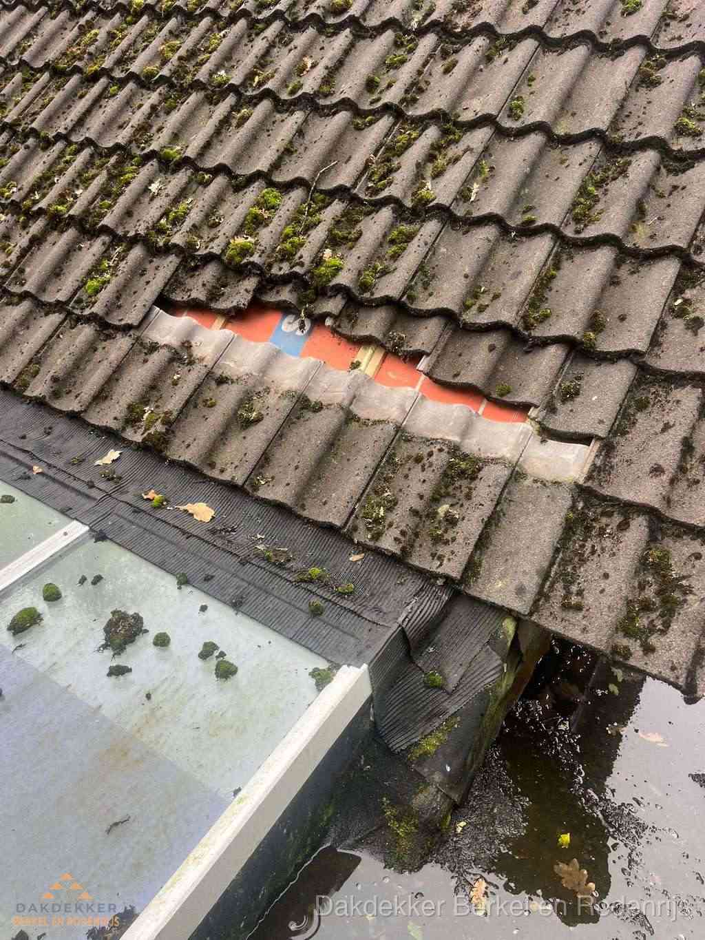 Dakpannen Repareren Berkelenrodenrijs