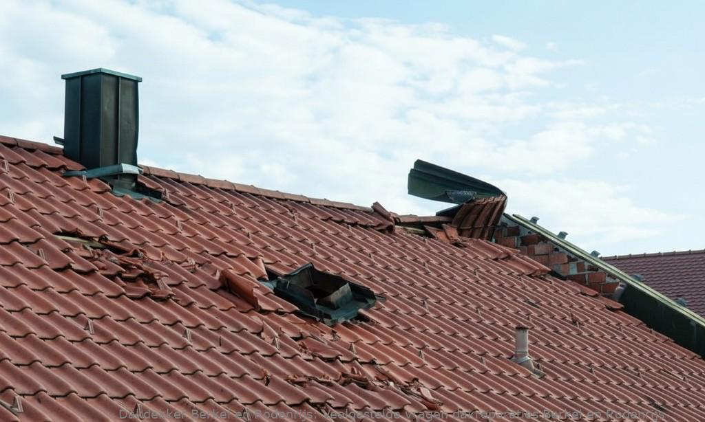 Dakreparaties Berkel En Rodenrijs