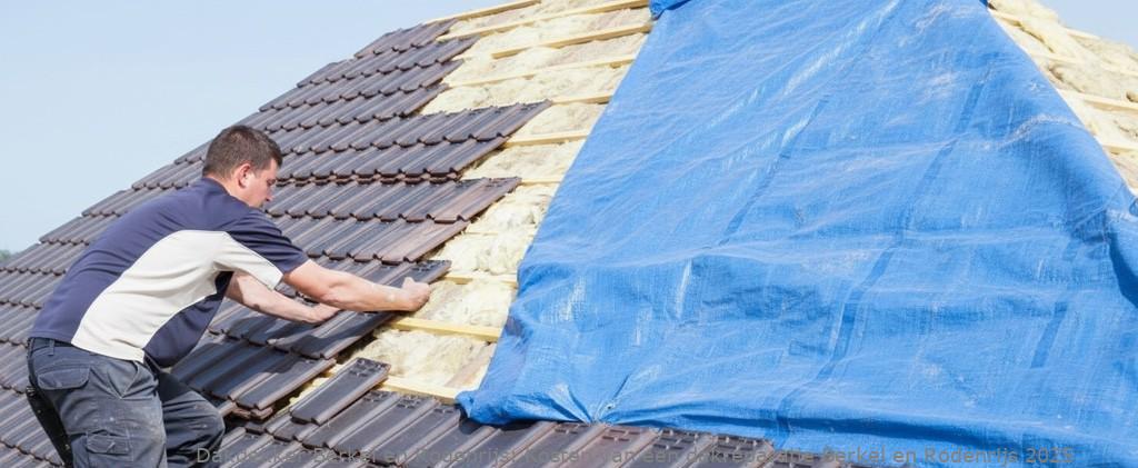 Kosten Van Een Dakreparatie Berkel En Rodenrijs
