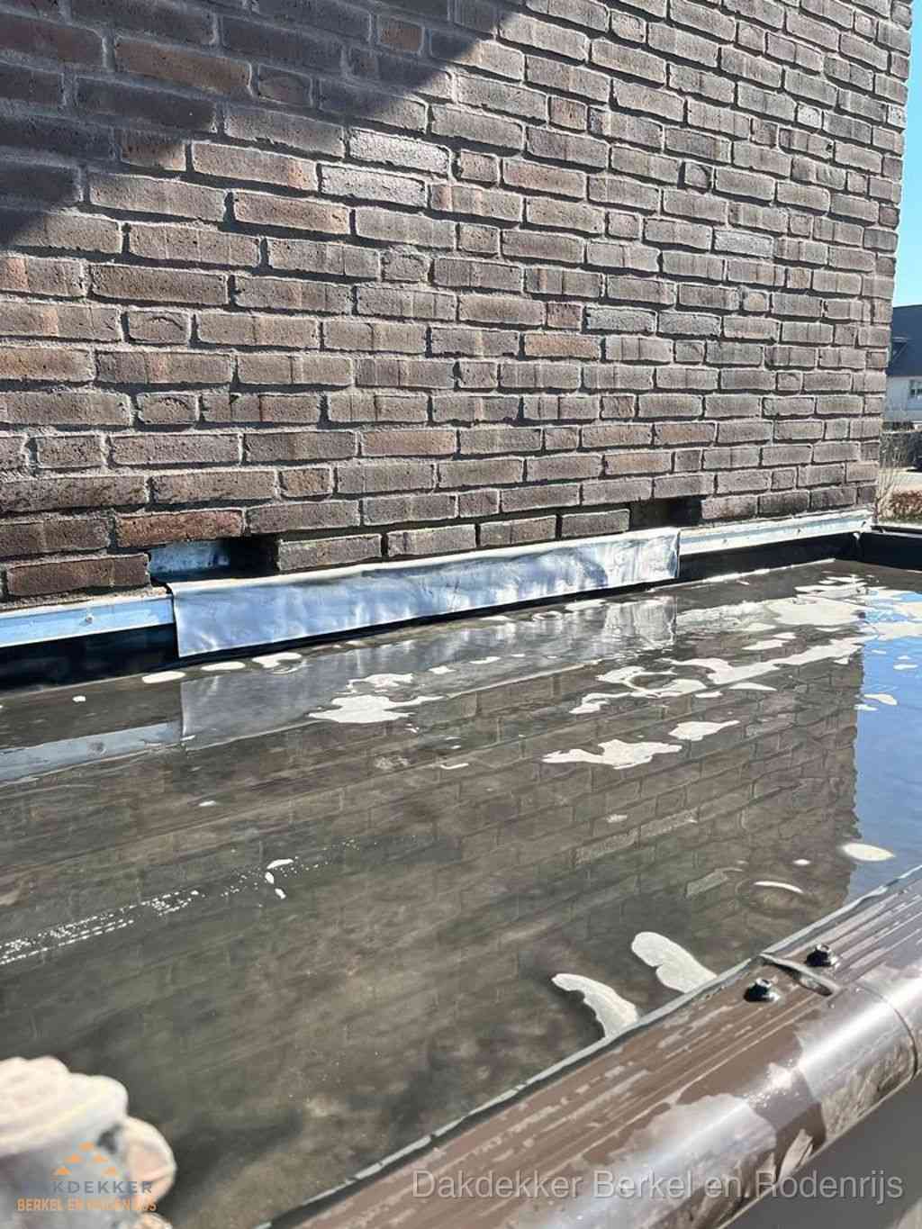 Lekkage Dak Repareren Berkelenrodenrijs