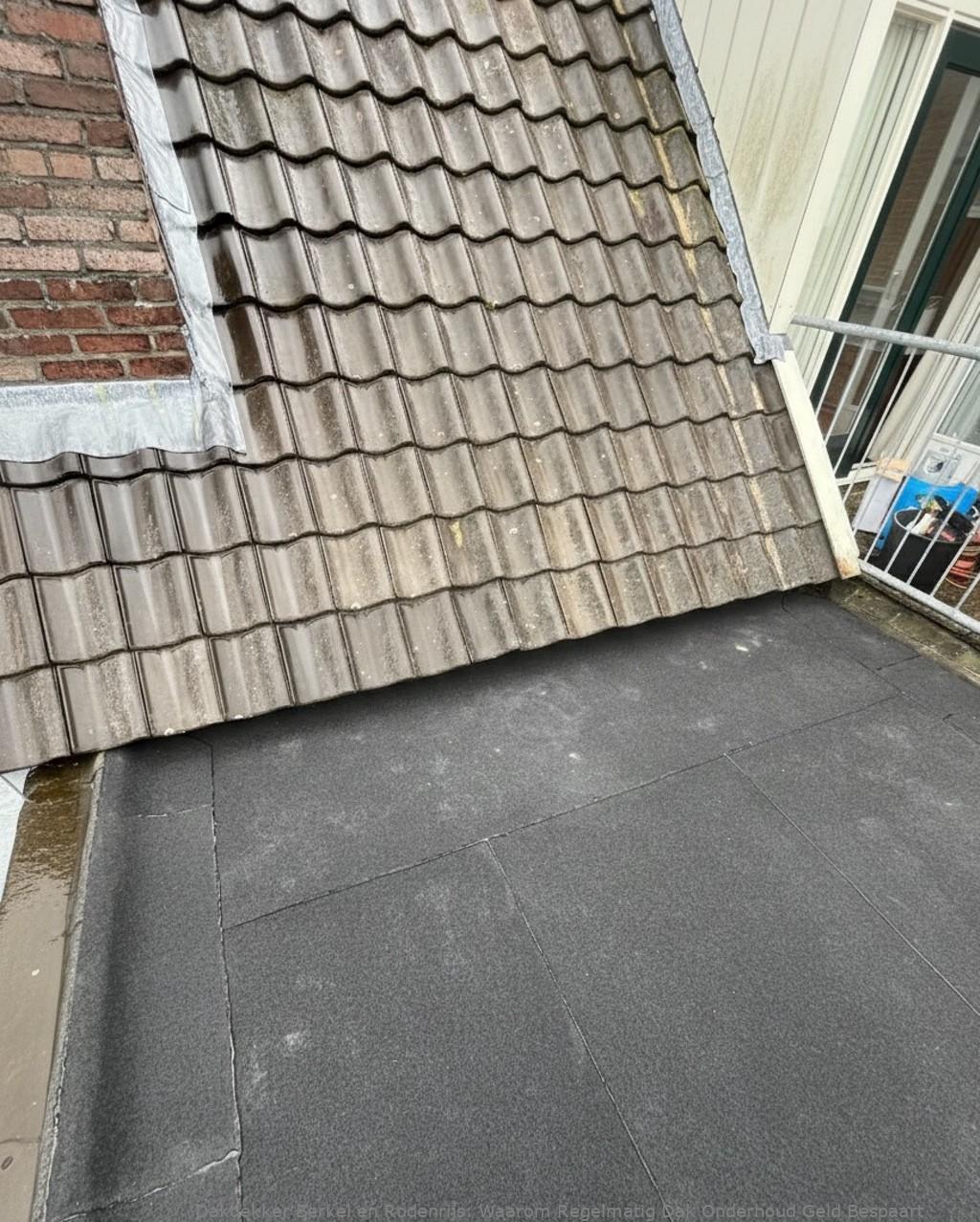 Onderhoud Dak Berkel En Rodenrijs