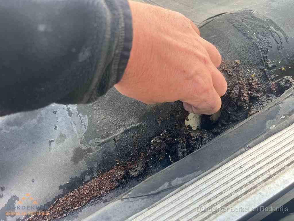 Plat Dak Reparatie Berkelenrodenrijs