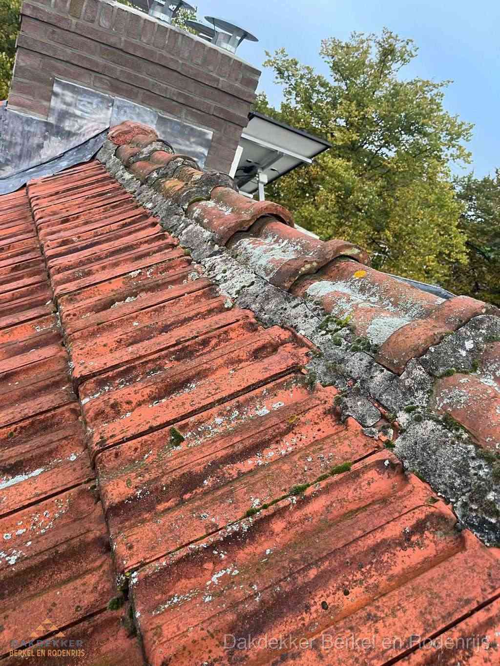 Renovatie Hellend Dak Berkelenrodenrijs