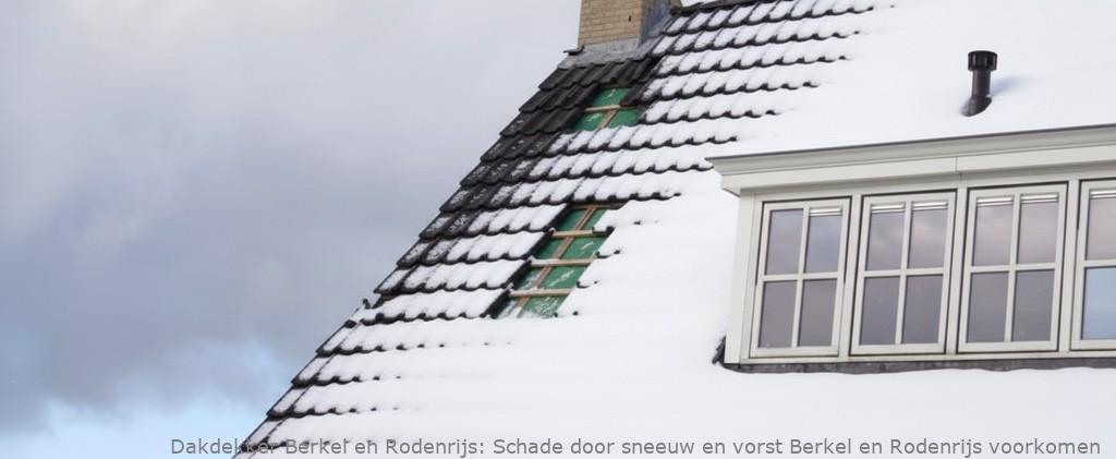 Schade Door Sneeuw En Vorst Berkel En Rodenrijs