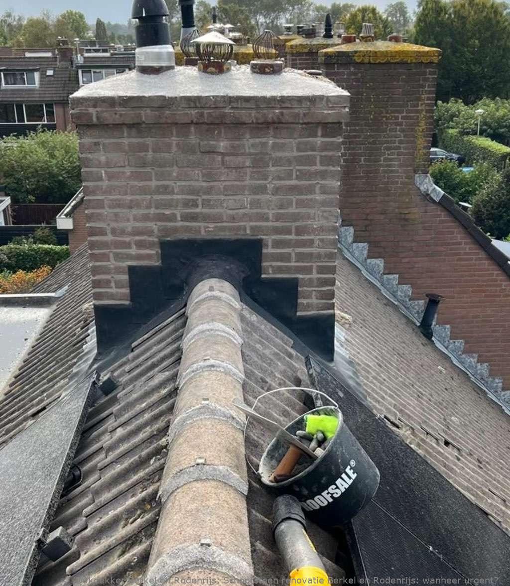 Schoorsteen Renovatie Berkel En Rodenrijs