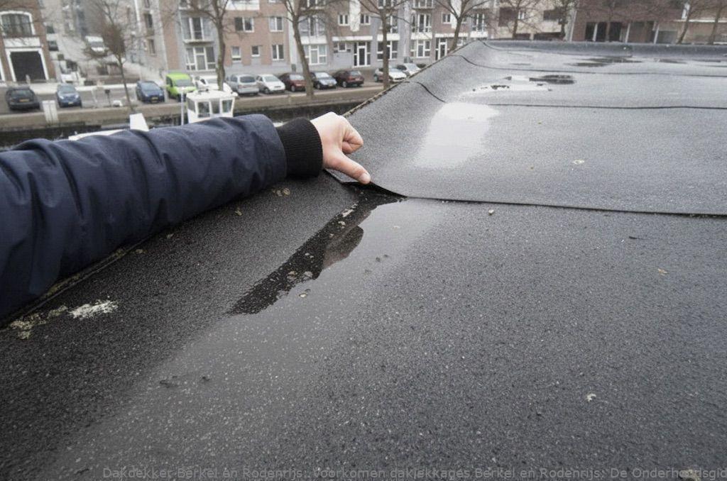 Voorkomen Daklekkages Berkel En Rodenrijs